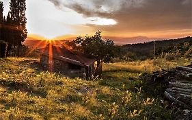 Fattoria La Tavernuzza